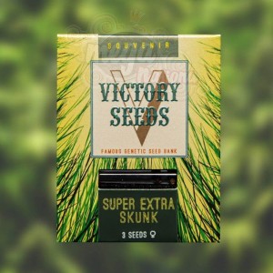 Victory Seeds - Super Skunk