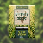 Victory Seeds - White Widow