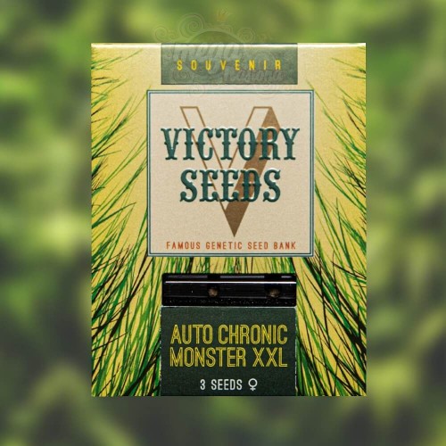 Victory Seeds - Auto Chronic Monster XXL
