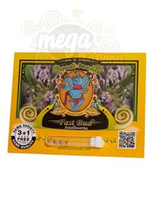 SWEET SEEDS - Fast Bud #2