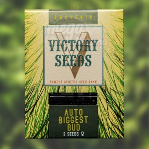 Victory Seeds - Auto Biggest Bud