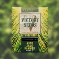 Victory Seeds - Auto Jack Hammer