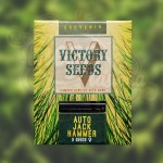 Victory Seeds - Auto Jack Hammer