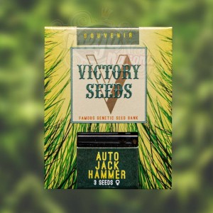 Victory Seeds - Auto Jack Hammer