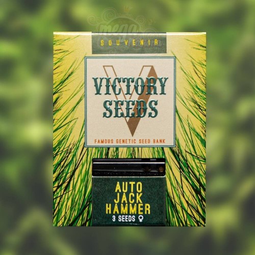Victory Seeds - Auto Jack Hammer