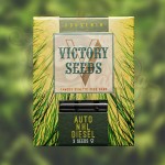 Victory Seeds - Auto NHL Diesel