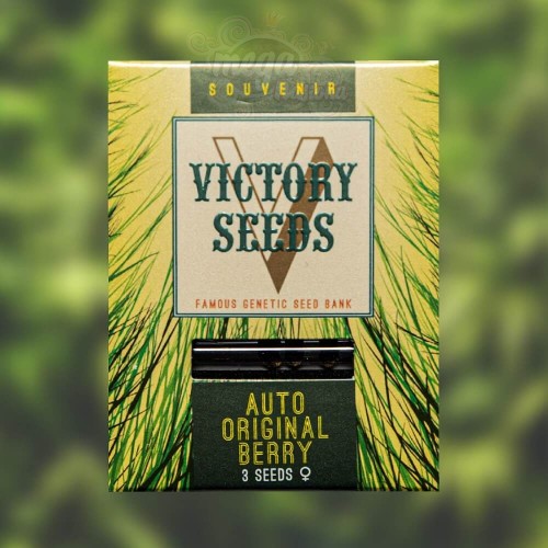 Victory Seeds - Auto Original Berry