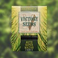 Victory Seeds - Auto Super Mazar