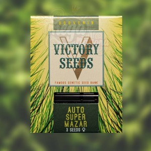 Victory Seeds - Auto Super Mazar