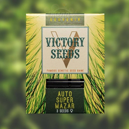 Victory Seeds - Auto Super Mazar