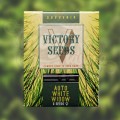 Victory Seeds -  Auto White Widow