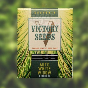 Victory Seeds -  Auto White Widow