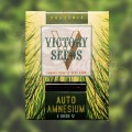 Victory Seeds - Auto Amnesium