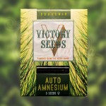 Victory Seeds - Auto Amnesium