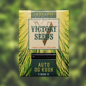 Victory Seeds - Auto OG Kush