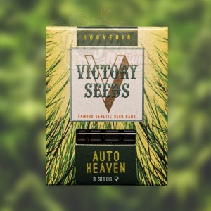 Victory Seeds - Auto Heaven