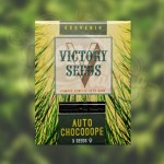 Victory Seeds - Auto Chocodope