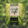 Victory Seeds - Chocodope