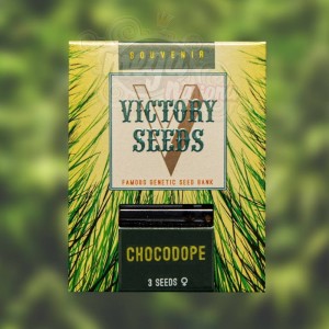 Victory Seeds - Chocodope