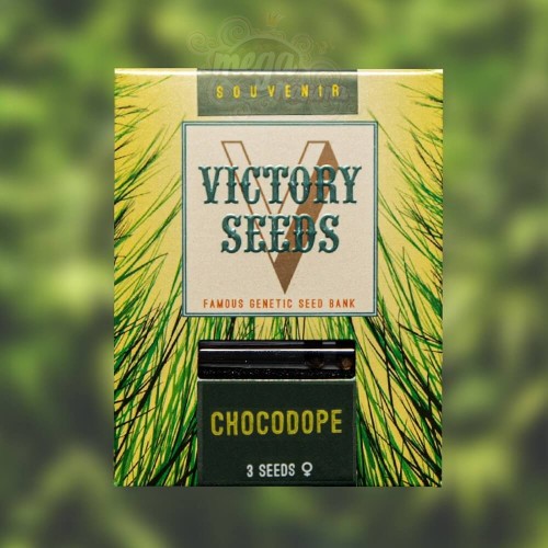 Victory Seeds - Chocodope