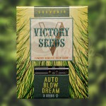 Victory Seeds - Auto Blow Dream