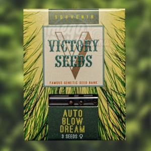 Victory Seeds - Auto Blow Dream