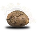 ROYAL QUEEN SEEDS - Royal AK Automatic®
