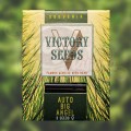 Victory Seeds - Auto Big Angel