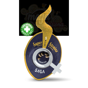 SUPER STRAINS - Saga CBD