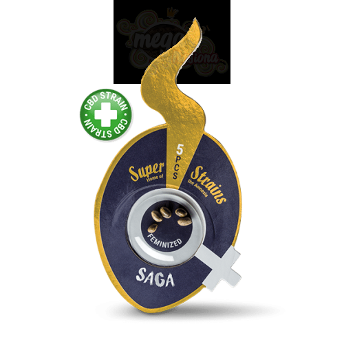 SUPER STRAINS - Saga CBD