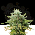SUPER STRAINS - Cookies Krush
