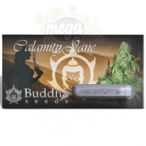 Buddha Seeds - Calamity Jane Auto