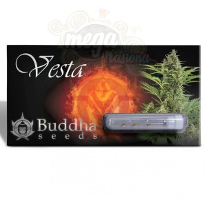 Buddha Seeds - Vesta Au