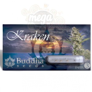 Buddha Seeds - Kraken