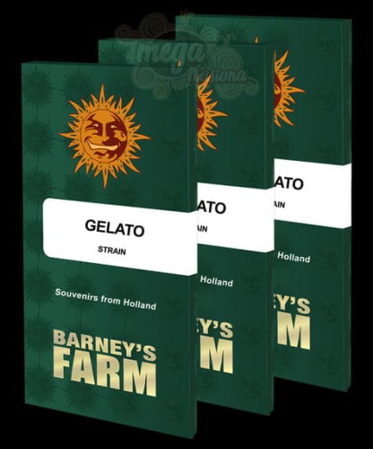 Barney's Farm - Gelato