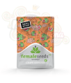 Female Seeds - Grape Amnesia