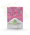 FEMALE SEEDS - SexBud