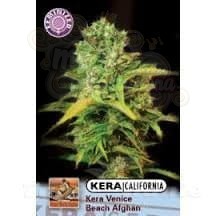 KERA SEEDS - VENICE BEACH AFGHAN