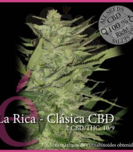 ELITE SEEDS - La Rica Clásica CBD