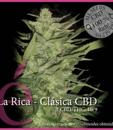 ELITE SEEDS - La Rica Clásica CBD