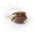 ROYAL QUEEN SEEDS - Royal AK Automatic®