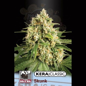 KERA SEEDS - Skunk