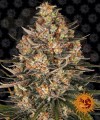 Barney's Farm - Lemon Drizzle