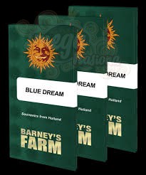 BARNEY'S FARM - Blue Dream