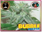 -50% BIG BUDDHA SEEDS - Bubble Cheese 10szt