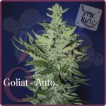 ELITE SEEDS - Goliat Auto