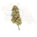 ROYAL QUEEN SEEDS - Northern Light
