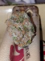 FASTBUDS - Girl Scout Cookies Auto