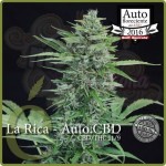 ELITE SEEDS - La Rica Auto CBD