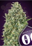00 Seeds Bank - Critical Poison